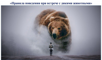 Правила поведения при встрече с дикими животными